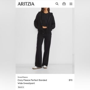 Aritzia Sweatpants